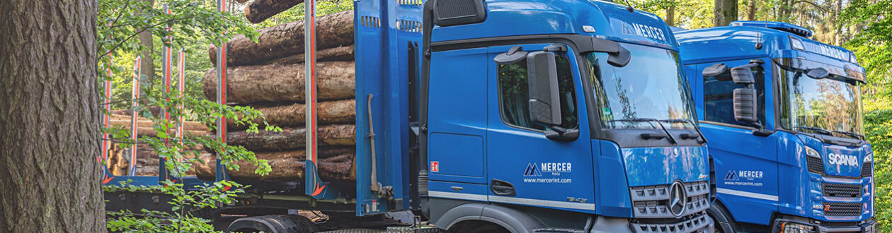 Zwei Mercer Holz LKWs, geparkt und beladen mit Rotholz, auf einer Baustelle im Harz