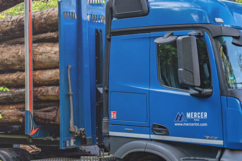 Zwei Mercer Holz LKWs, geparkt und beladen mit Rotholz, auf einer Baustelle im Harz