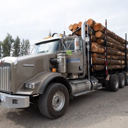 Mercer Forestry Services