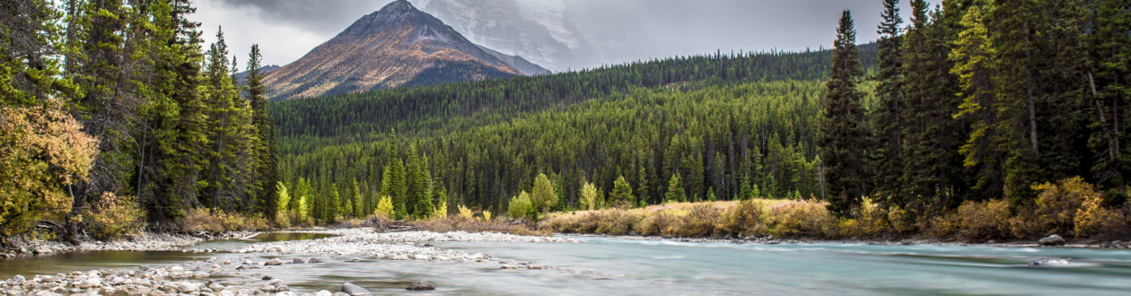 Beautiful landscape photo of the Peace River, Alberta, Canada, with forests in the background and a rocky bank in the foreground.