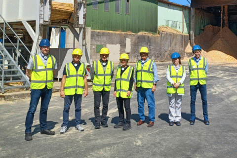 Der Aufsichtsrat besichtigte gemeinsam mit Mitarbeitern von Mercer Timber Products das Sägewerk in Friesau.