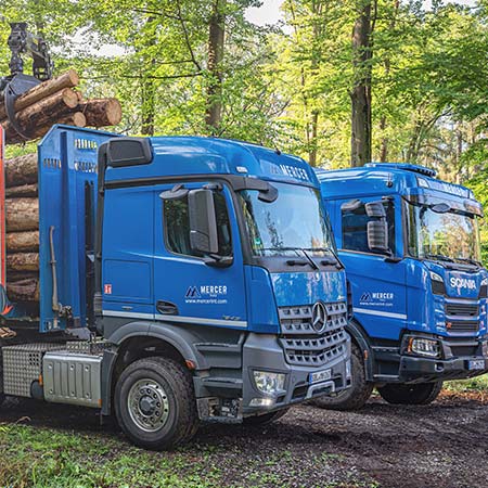 mercer-trucks-with-logs-in-forest-small