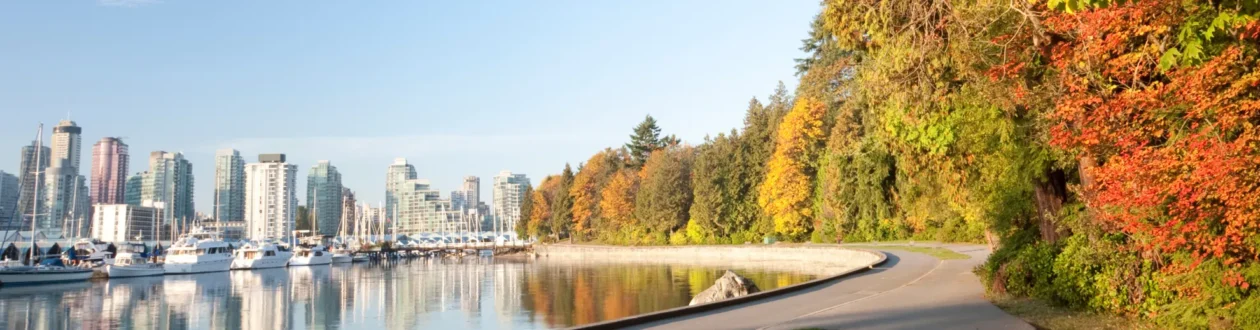 Panorama: Stadt-Skyline mit Yachthafen links, bunte Herbstbäume und Uferweg rechts. Wasser reflektiert Himmel und Stadt.
