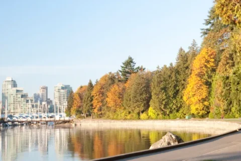 Panorama: Stadt-Skyline mit Yachthafen links, bunte Herbstbäume und Uferweg rechts. Wasser reflektiert Himmel und Stadt.