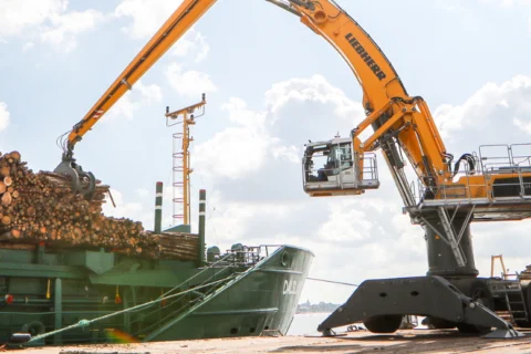 Ein orangefarbener Liebherr-Kran lädt Holzstämme von einem großen Stapel auf ein grünes Frachtschiff in einem Hafen unter bewölktem Himmel.