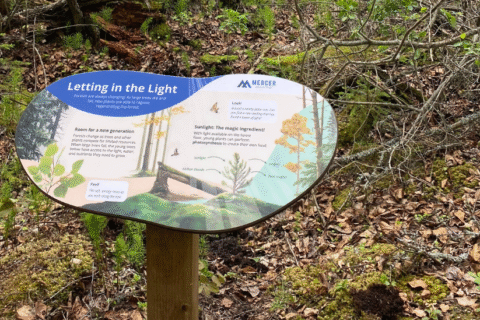Infotafel am Leddy-Lake-Wanderweg.